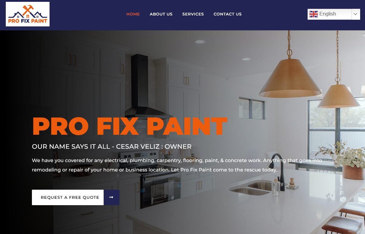PRO FIX PAINT