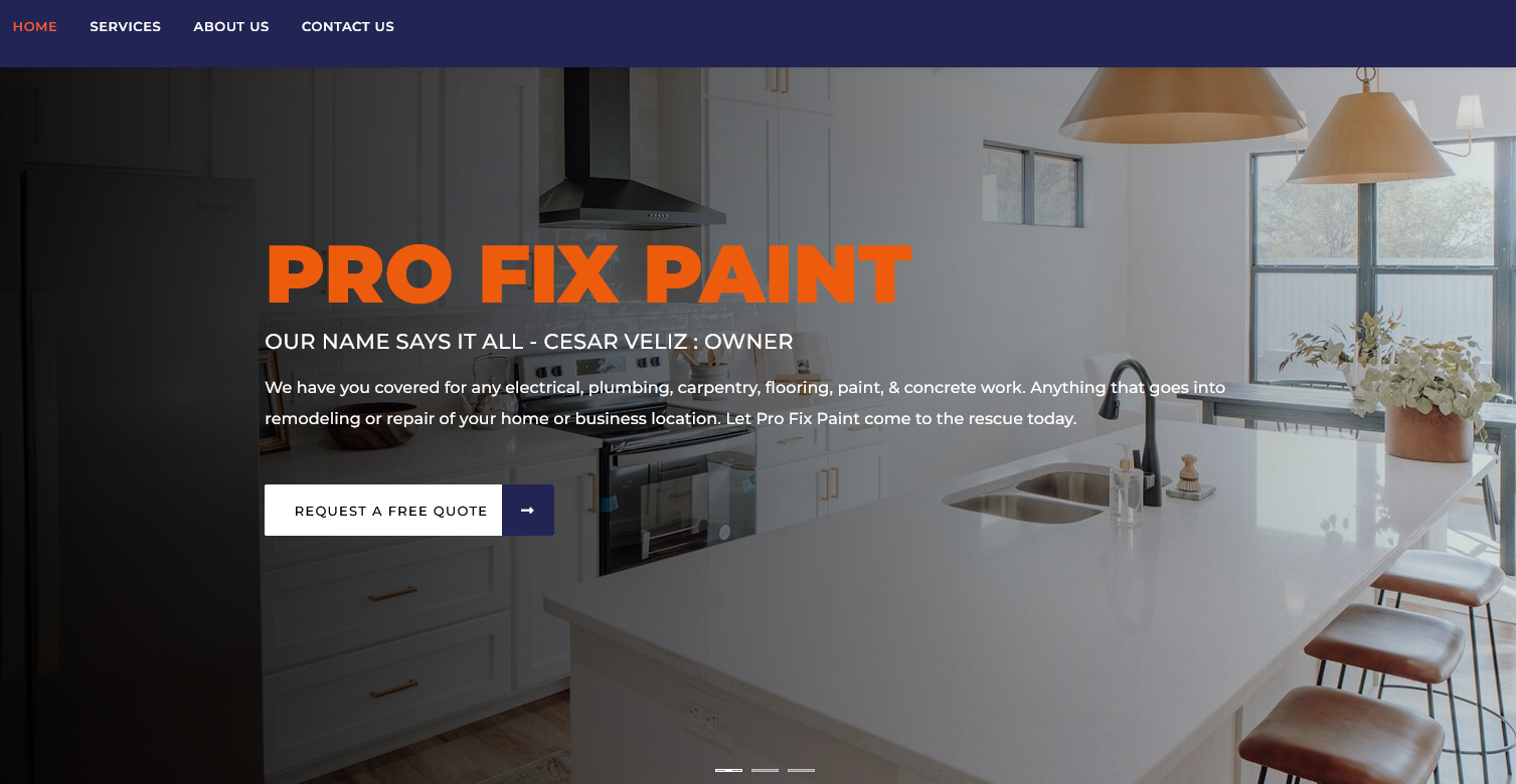 PRO FIX PAINT