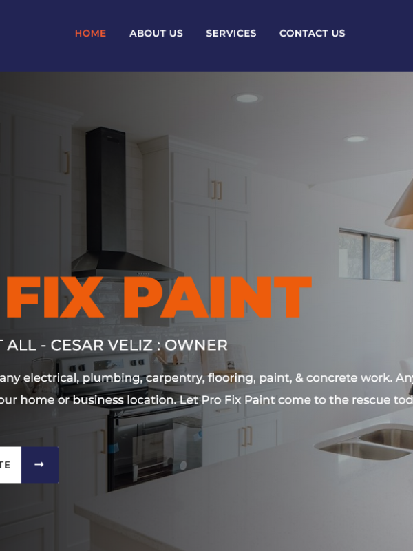 PRO FIX PAINT